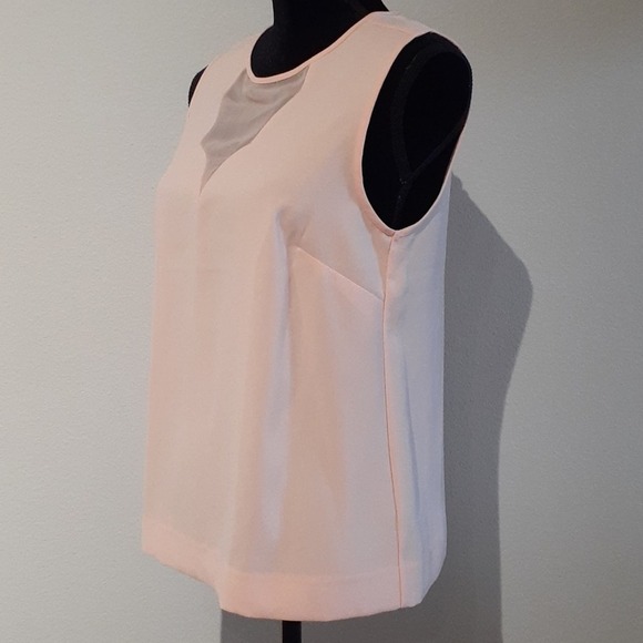 NWT THE LIMITED peach sheer lining top, $59.95 - Picture 2 of 7